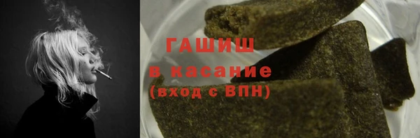 шишки Богородицк